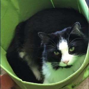 Meet your Posher, Victoria